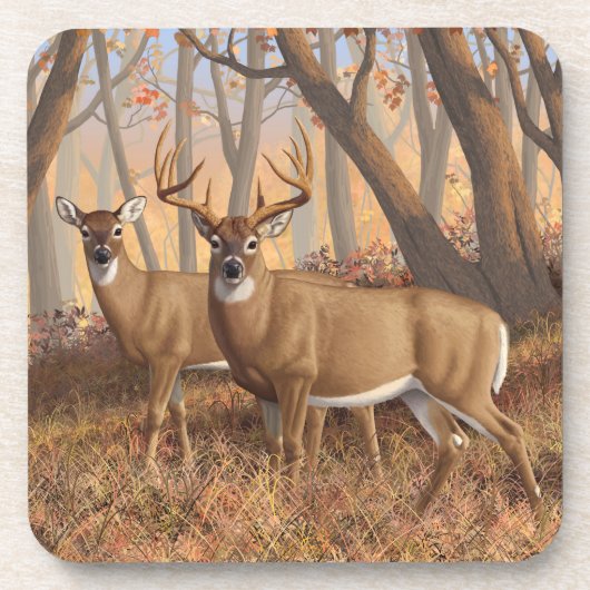 Whitetail Deer Buck & Dos Herbstmapelwald Getränkeuntersetzer (Vorderseite)