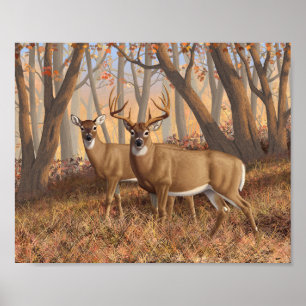 Whitetail Deer Buck & Dos Herbstmapelwald Poster
