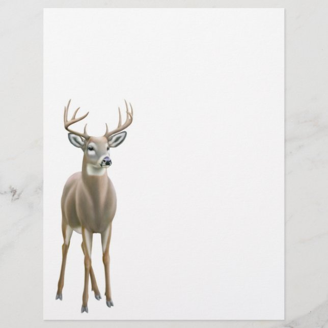 Whitetail Deer Buck Letterhead (Vorderseite)