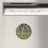 Whitetail Deer Buck OBX Magnet (In Situ (Geschirrspüler))