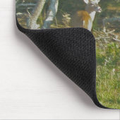 Whitetail Deer Buck OBX Mousepad (Ecke)