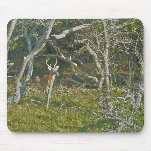 Whitetail Deer Buck OBX Mousepad (Vorne)