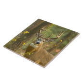 Whitetail Deer Buck | Weißfisch, Montana Fliese (Seite)