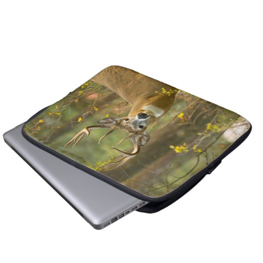 Whitetail Deer Buck | Weißfisch, Montana Laptopschutzhülle (Vorne Knopf)