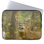Whitetail Deer Buck | Weißfisch, Montana Laptopschutzhülle (Vorderseite)