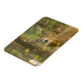 Whitetail Deer Buck | Weißfisch, Montana Magnet (Linke Seite)