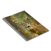 Whitetail Deer Buck | Weißfisch, Montana Notizblock (Rechte Seite)