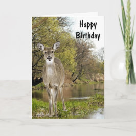 Whitetail Deer by Creek Happy Birthday for Men Karte