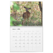 Whitetail Deer Calendar Kalender (Mär 2026)