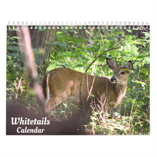 Whitetail Deer Calendar Kalender (Titelbild)