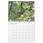 Whitetail Deer Calendar Kalender (Jan 2027)