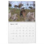 Whitetail Deer Calendar Kalender (Feb 2027)