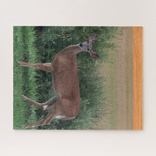 Whitetail Deer Doe Hayfield in Abend Sunset Puzzle (Horizontal)