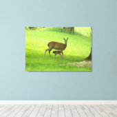 Whitetail Deer (Doe) und Fawn Leinwanddruck (Insitu (Holzboden))