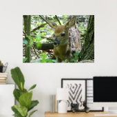 Whitetail Deer Fawn (in the Woods) Poster (Heimbüro)