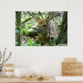 Whitetail Deer Fawn (in the Woods) Poster (Küche)