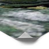 Whitetail Deer Fawn in Woods Poster (Ecke)