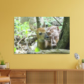 Whitetail Deer Fawn (Wrapped Canvas Print) Leinwanddruck (Insitu (Wohnzimmer))