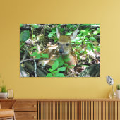 Whitetail Deer Fawn Wrapped Canvas Print Leinwanddruck (Insitu (Wohnzimmer))