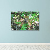 Whitetail Deer Fawn Wrapped Canvas Print Leinwanddruck (Insitu (Holzboden))