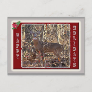 Whitetail Deer Happy Holidays Feiertagspostkarte