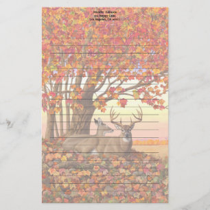 Whitetail Deer im Herbst Herbstfarben in New Engla Briefpapier