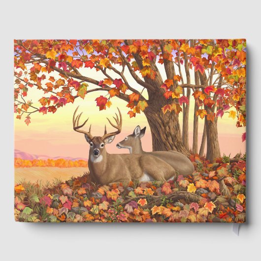 Whitetail Deer im Herbst Herbstfarben in New Engla Gästebuch (Rückseite)