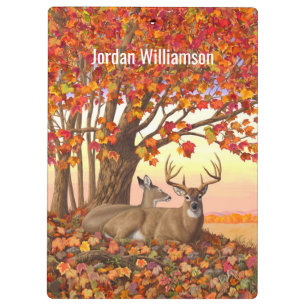 Whitetail Deer im Herbst Herbstfarben in New Engla Klemmbrett