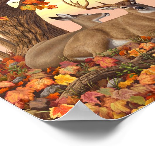 Whitetail Deer im Herbst Herbstfarben in New Engla Poster (Ecke)