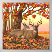 Whitetail Deer im Herbst Herbstfarben in New Engla Poster (Vorne)