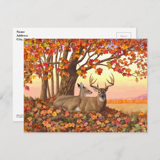 Whitetail Deer im Herbst Herbstfarben in New Engla Postkarte (Vorne/Hinten)