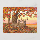 Whitetail Deer im Herbst Herbstfarben in New Engla Postkarte (Vorderseite)