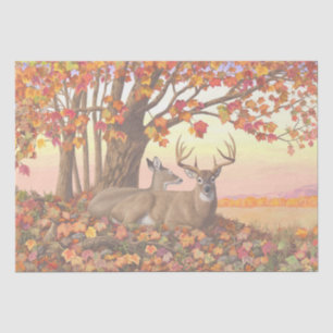 Whitetail Deer im Herbst Herbstfarben in New Engla Seidenpapier