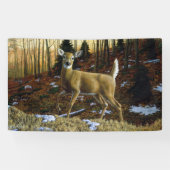 Whitetail Deer im Herbstwald Banner (Horizontal)