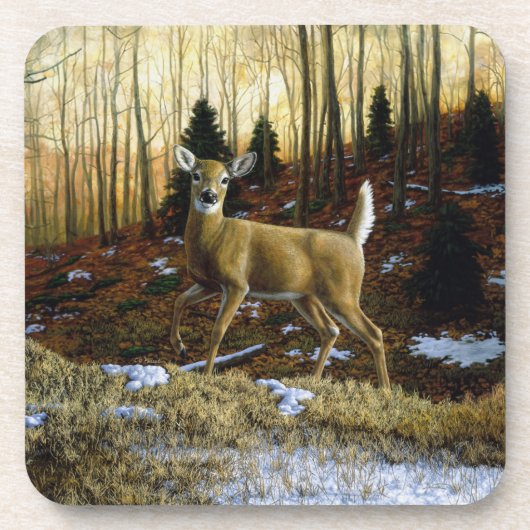 Whitetail Deer im Herbstwald Getränkeuntersetzer (Vorderseite)