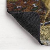 Whitetail Deer im Herbstwald Mousepad (Ecke)