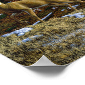 Whitetail Deer im Herbstwald Poster (Ecke)