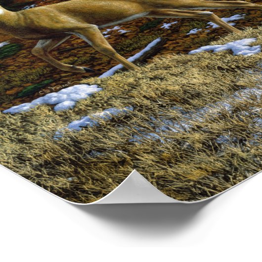 Whitetail Deer im Herbstwald Poster (Ecke)