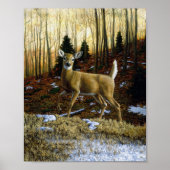 Whitetail Deer im Herbstwald Poster (Vorne)