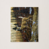 Whitetail Deer im Herbstwald Puzzle (Vertikal)