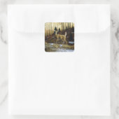 Whitetail Deer im Herbstwald Quadratischer Aufkleber (Tasche)