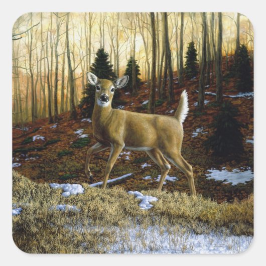 Whitetail Deer im Herbstwald Quadratischer Aufkleber (Vorderseite)