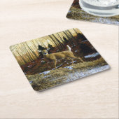 Whitetail Deer im Herbstwald Rechteckiger Pappuntersetzer (angewinkelt)