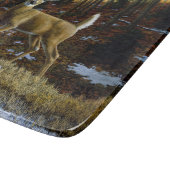 Whitetail Deer im Herbstwald Schneidebrett (Ecke)
