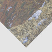 Whitetail Deer im Herbstwald Seidenpapier (Detail)