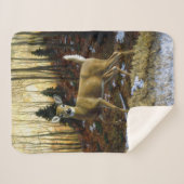 Whitetail Deer im Herbstwald Sherpadecke (Vorderseite (Horizontal))