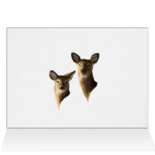 Whitetail Deer im Schnee (Innenansicht Horizontal (Oben))