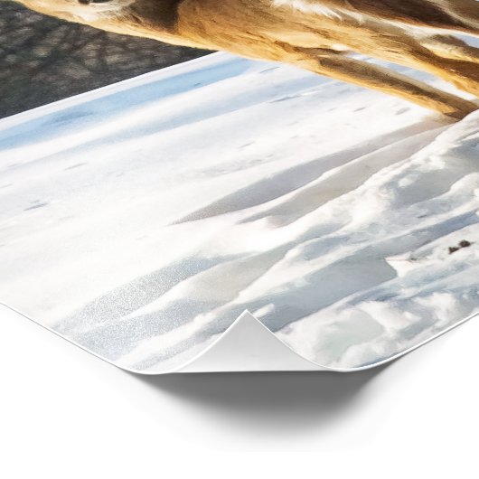 Whitetail Deer im Schnee Fotodruck (Ecke)