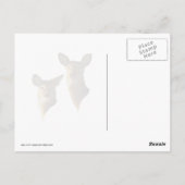 Whitetail Deer im Schnee Postkarte (Rückseite)