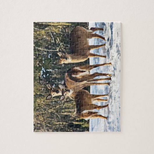 Whitetail Deer im Schnee Puzzle (Vertikal)